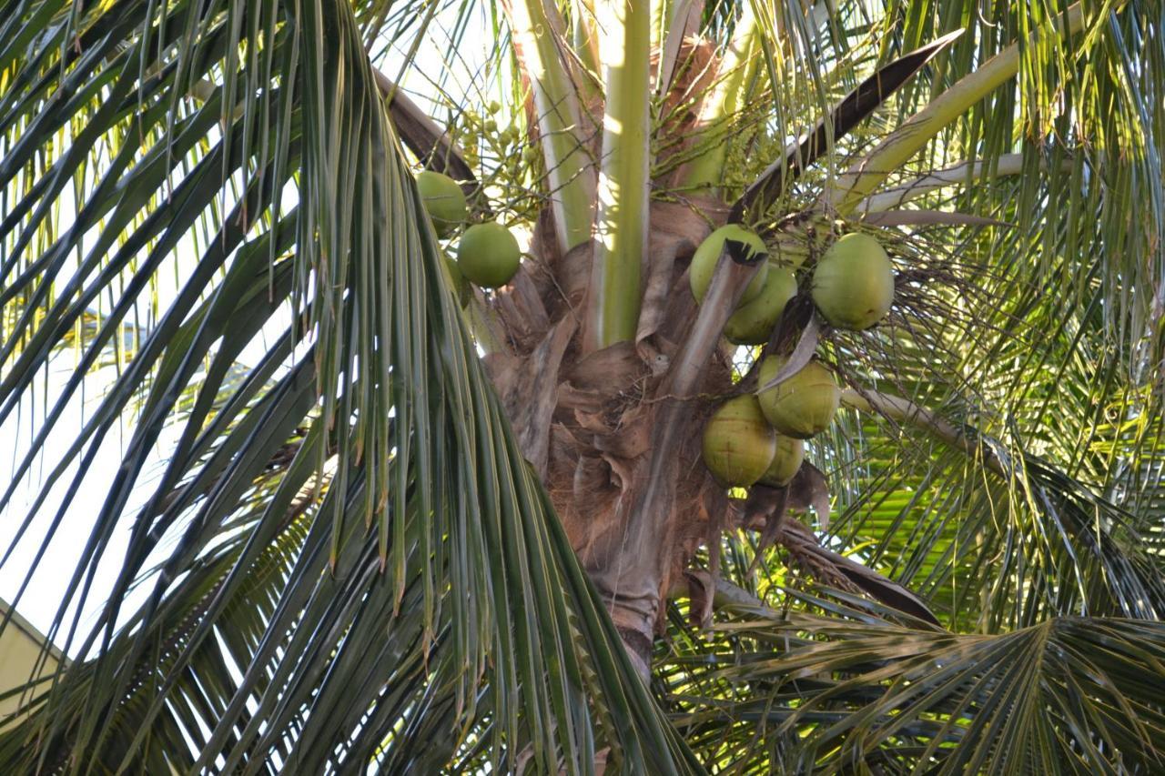 Pousada Acacia Amarela Olímpia Extérieur photo